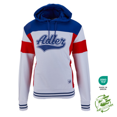 Hoodie College Adler 24